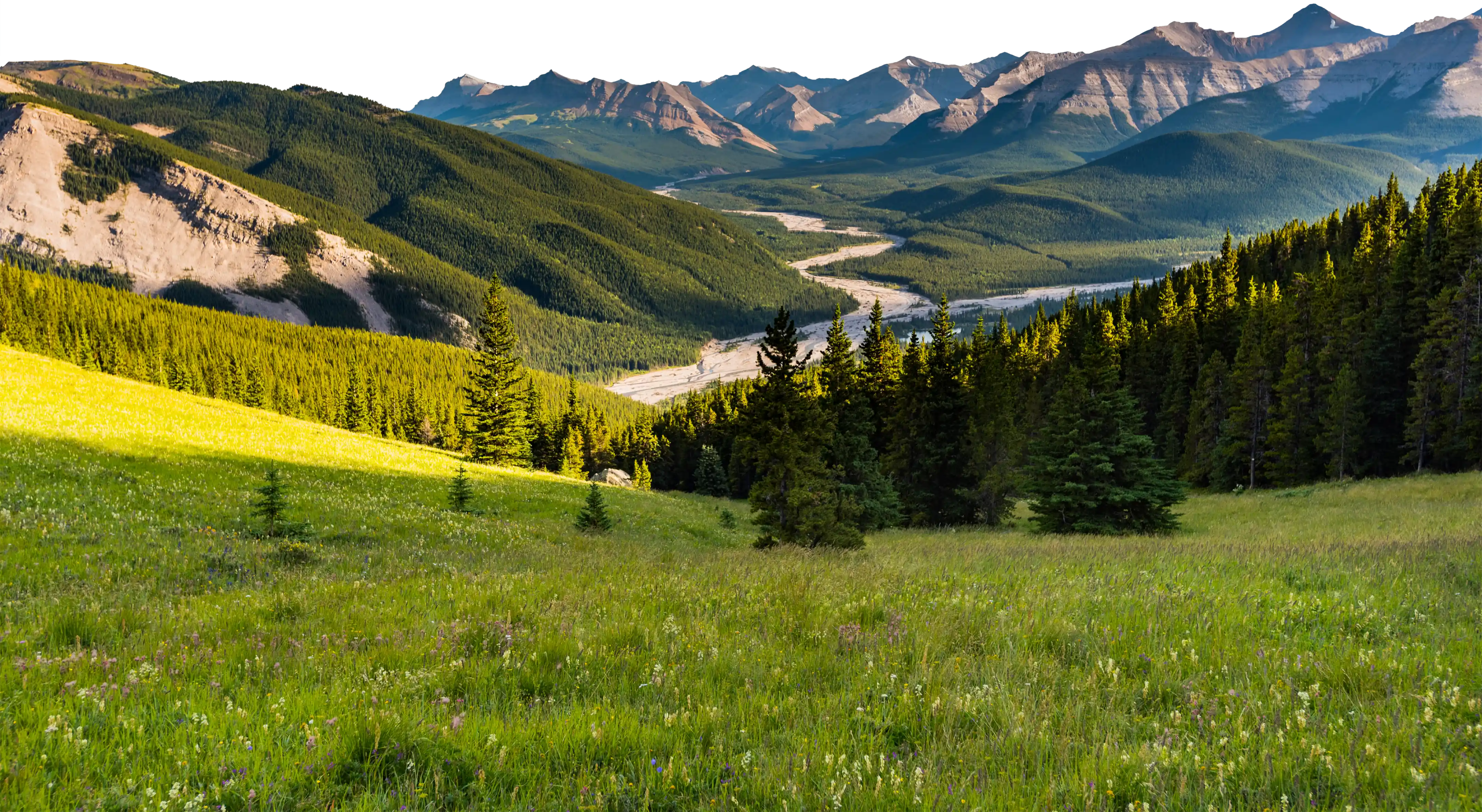 Mountain backdrop