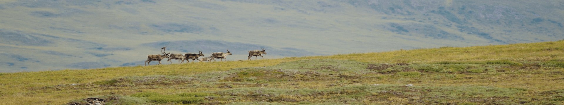 Ecological Change and Livelihoods