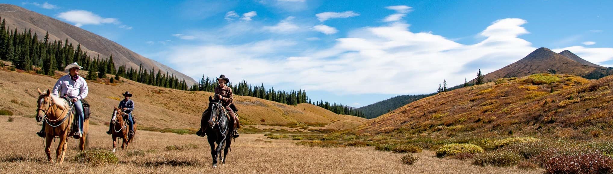 Bison cultural project photo