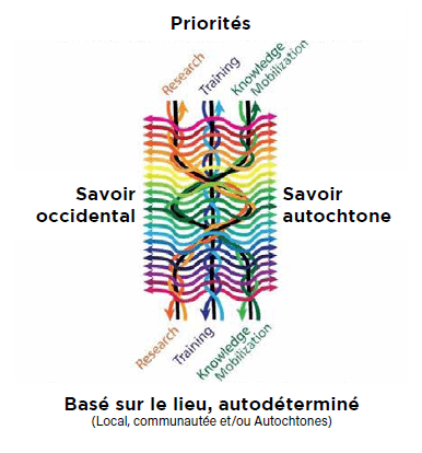 image annual report FR 1.PNG