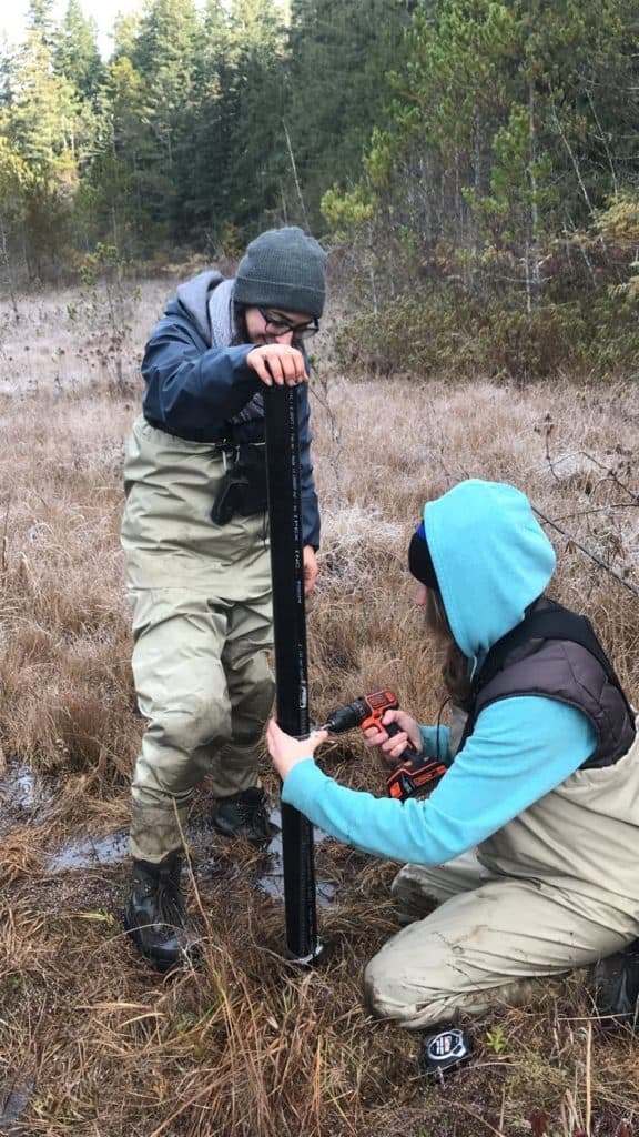 One of the piezometers installed and being secured to the piece of 3 metre rebar with hose clamps, which was installed adjacent for stabilization. Part of our work to determine how our upland wetlands contribute to groundwater recharge.