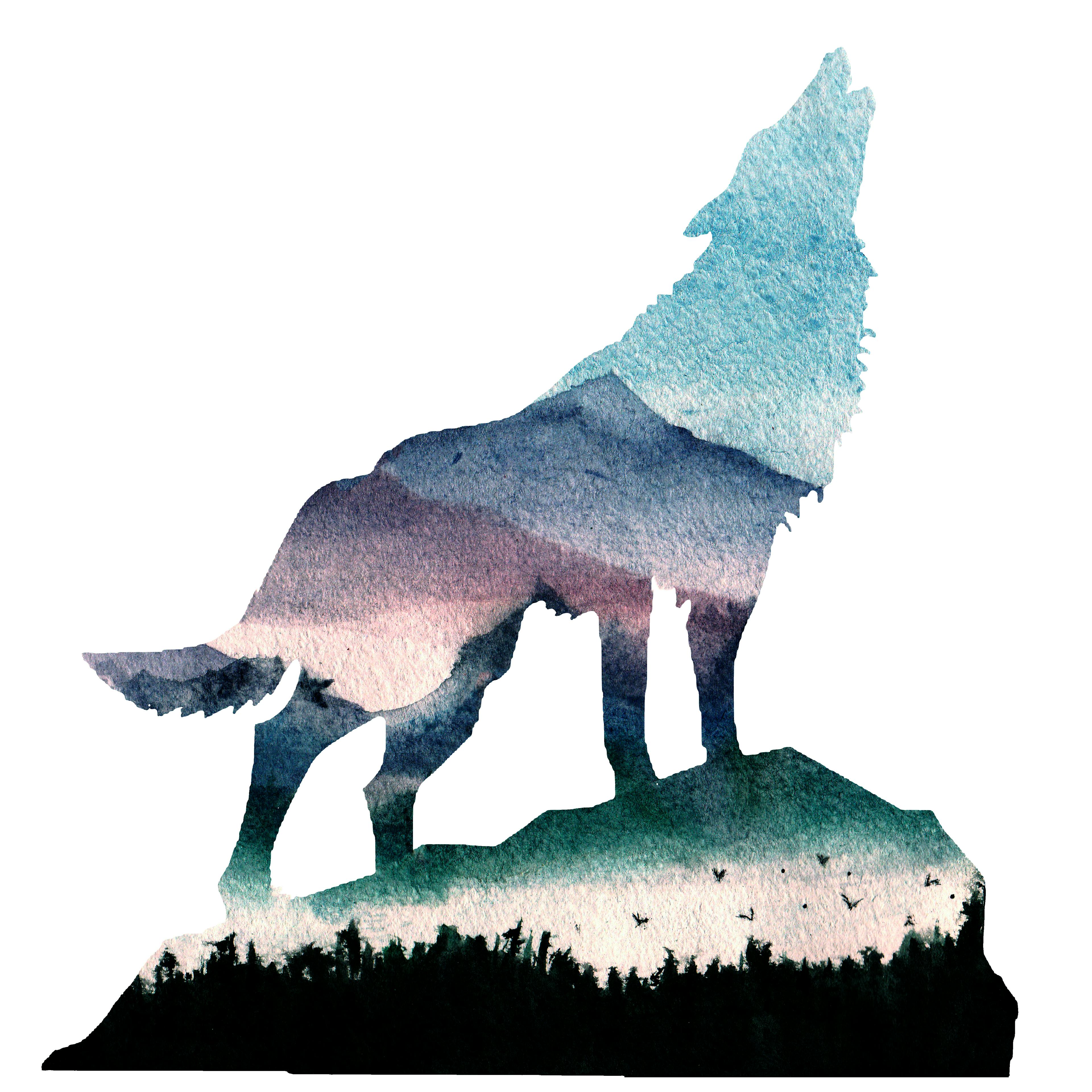 Annual report - wolf image